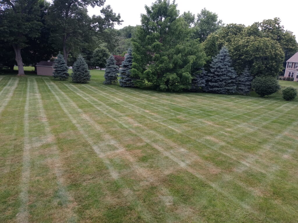 landscape maintenance